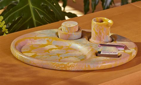 houseplant all in one rolling tray